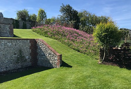 wild-flower-turf-meadow-lawn-expert-landscapers-ragged-robin-sussex-lewes