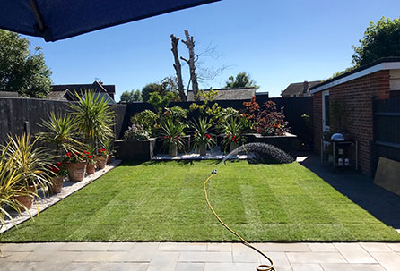 commercial-turf-laying-service