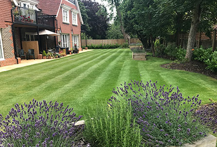 lawn-mowing-garden-maintenance-sussex