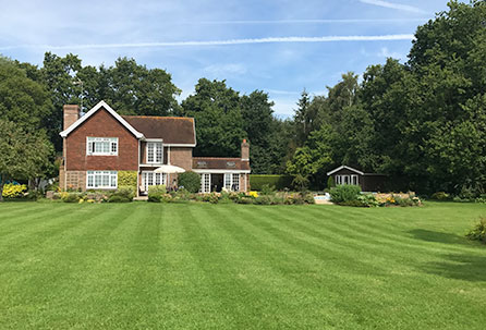 large-lawn-specialists-southeast